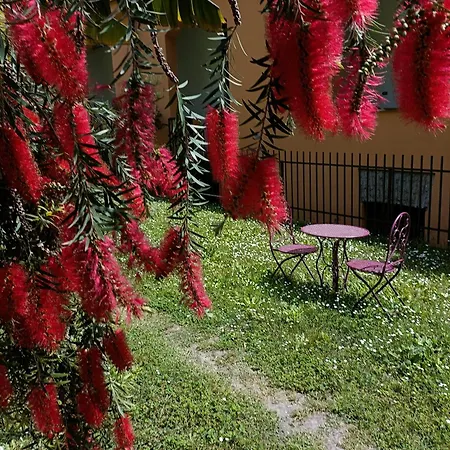 Trastevere In Loft *