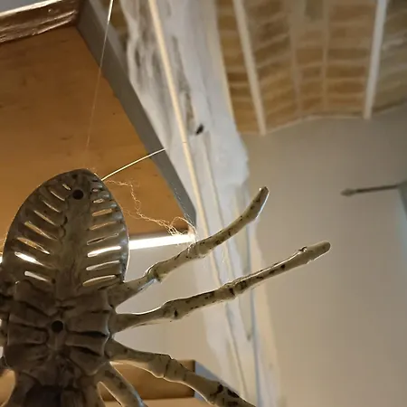 Trastevere In Loft *