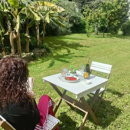 Trastevere In Loft Apartment Rome